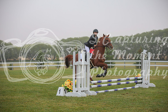 2025 - Karlee - Harvest Horse Show - Sunday, September 14th 03313