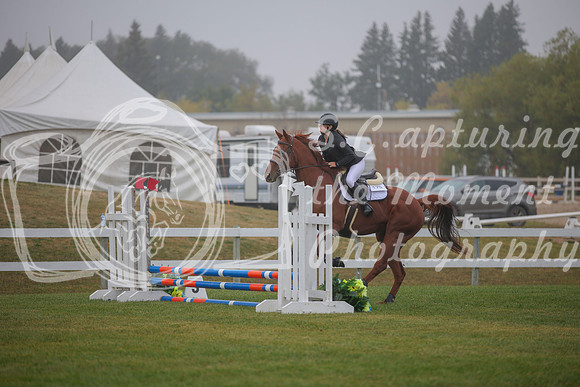 2025 - Karlee - Harvest Horse Show - Sunday, September 14th 03323