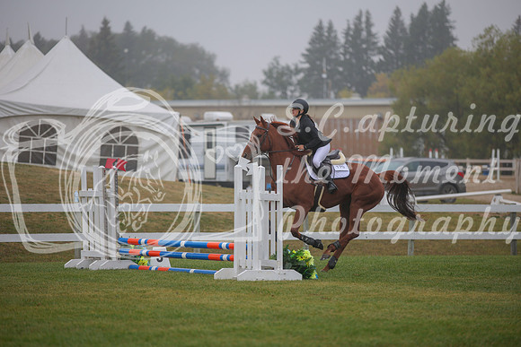 2025 - Karlee - Harvest Horse Show - Sunday, September 14th 03322