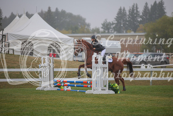 2025 - Karlee - Harvest Horse Show - Sunday, September 14th 03325