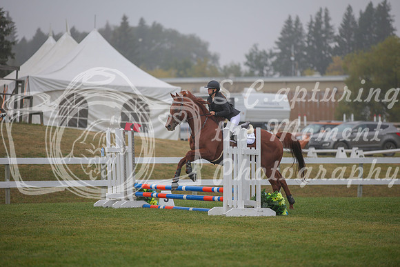 2025 - Karlee - Harvest Horse Show - Sunday, September 14th 03326