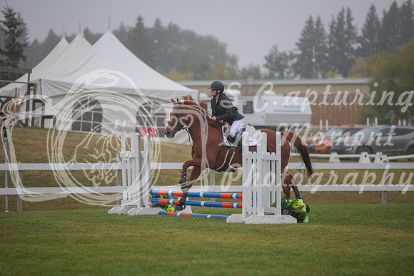 2025 - Karlee - Harvest Horse Show - Sunday, September 14th 03327