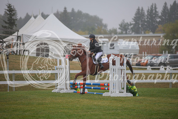2025 - Karlee - Harvest Horse Show - Sunday, September 14th 03328