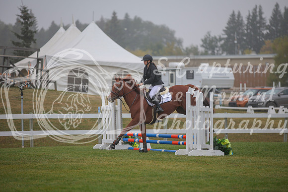 2025 - Karlee - Harvest Horse Show - Sunday, September 14th 03329