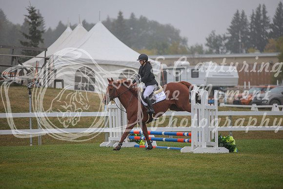 2025 - Karlee - Harvest Horse Show - Sunday, September 14th 03330