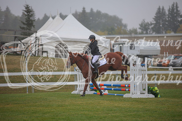 2025 - Karlee - Harvest Horse Show - Sunday, September 14th 03331