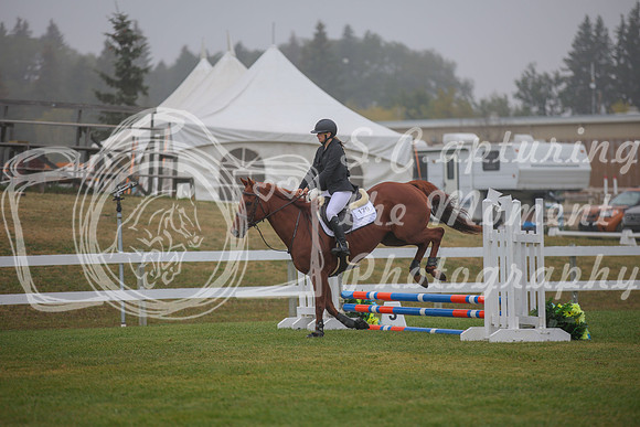 2025 - Karlee - Harvest Horse Show - Sunday, September 14th 03332