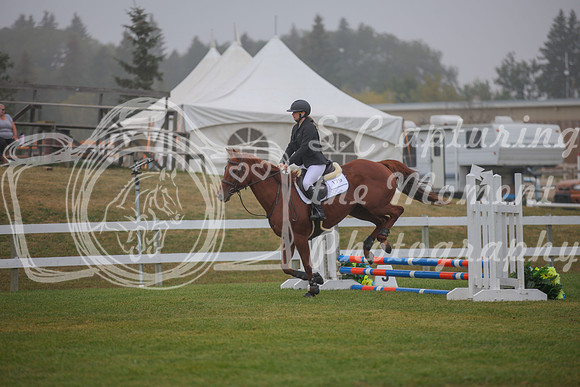 2025 - Karlee - Harvest Horse Show - Sunday, September 14th 03333