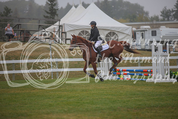 2025 - Karlee - Harvest Horse Show - Sunday, September 14th 03334