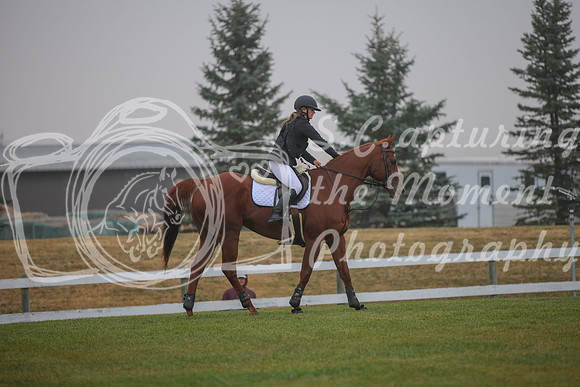2025 - Karlee - Harvest Horse Show - Sunday, September 14th 03335