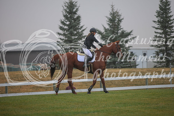 2025 - Karlee - Harvest Horse Show - Sunday, September 14th 03336