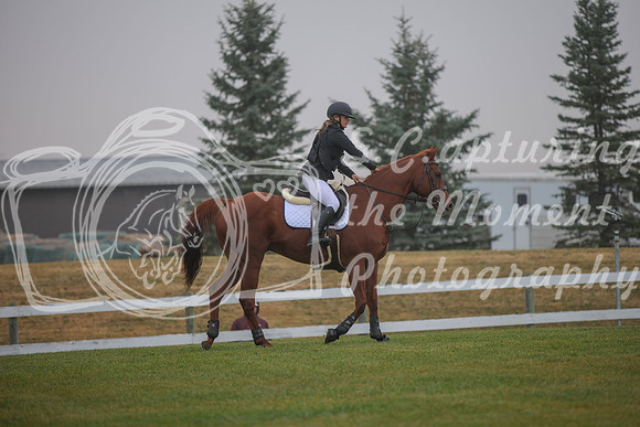2025 - Karlee - Harvest Horse Show - Sunday, September 14th 03337