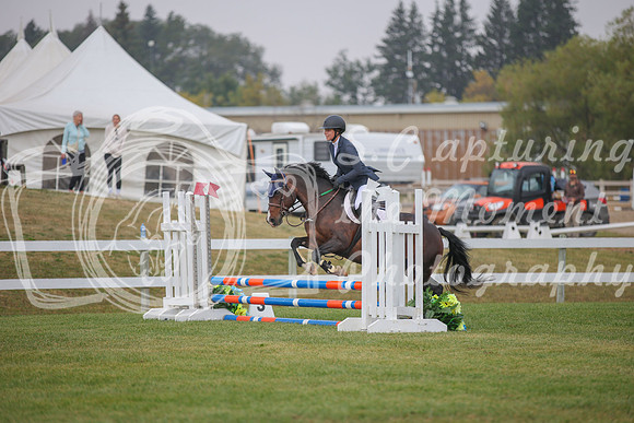 2025 - Karlee - Harvest Horse Show - Sunday, September 14th 03590