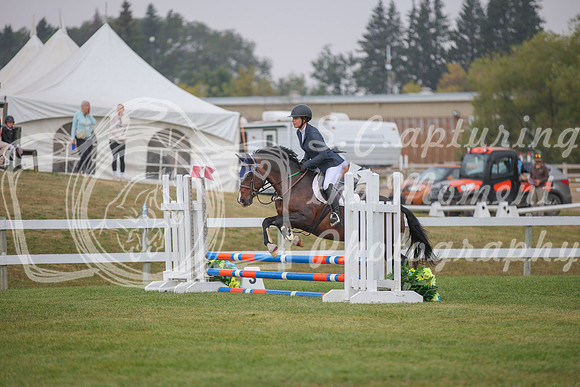 2025 - Karlee - Harvest Horse Show - Sunday, September 14th 03591