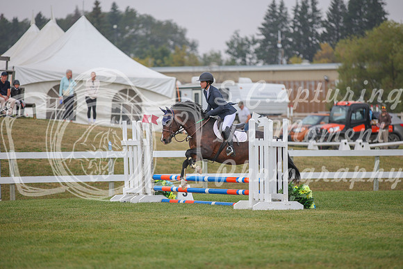 2025 - Karlee - Harvest Horse Show - Sunday, September 14th 03592