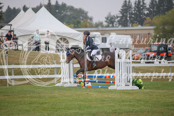 2025 - Karlee - Harvest Horse Show - Sunday, September 14th 03594