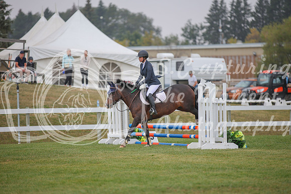 2025 - Karlee - Harvest Horse Show - Sunday, September 14th 03595
