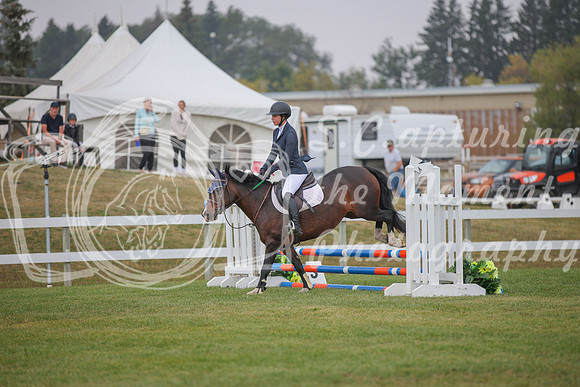 2025 - Karlee - Harvest Horse Show - Sunday, September 14th 03596