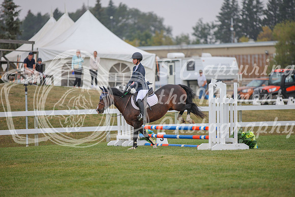 2025 - Karlee - Harvest Horse Show - Sunday, September 14th 03597
