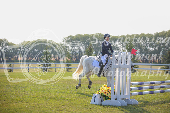 2025 - Karlee - Harvest Horse Show - Sunday, September 14th 03970