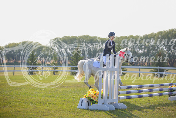 2025 - Karlee - Harvest Horse Show - Sunday, September 14th 03972