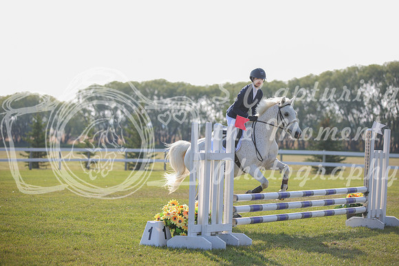 2025 - Karlee - Harvest Horse Show - Sunday, September 14th 03974