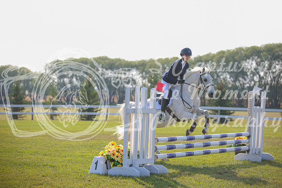 2025 - Karlee - Harvest Horse Show - Sunday, September 14th 03975