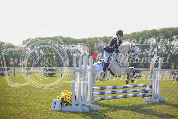 2025 - Karlee - Harvest Horse Show - Sunday, September 14th 03976