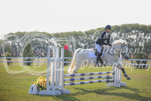 2025 - Karlee - Harvest Horse Show - Sunday, September 14th 03979
