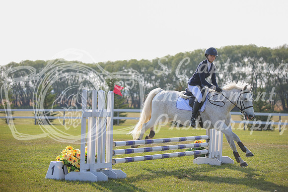 2025 - Karlee - Harvest Horse Show - Sunday, September 14th 03980
