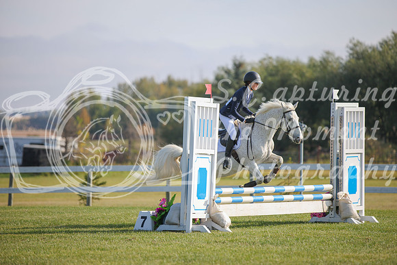 2025 - Karlee - Harvest Horse Show - Sunday, September 14th 03981