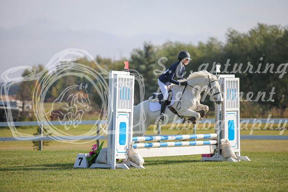 2025 - Karlee - Harvest Horse Show - Sunday, September 14th 03983