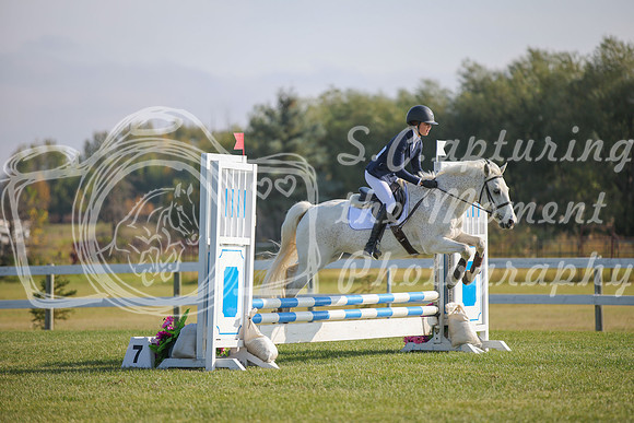 2025 - Karlee - Harvest Horse Show - Sunday, September 14th 03985