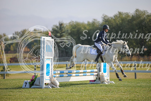 2025 - Karlee - Harvest Horse Show - Sunday, September 14th 03987