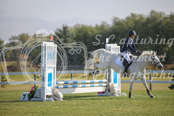 2025 - Karlee - Harvest Horse Show - Sunday, September 14th 03989