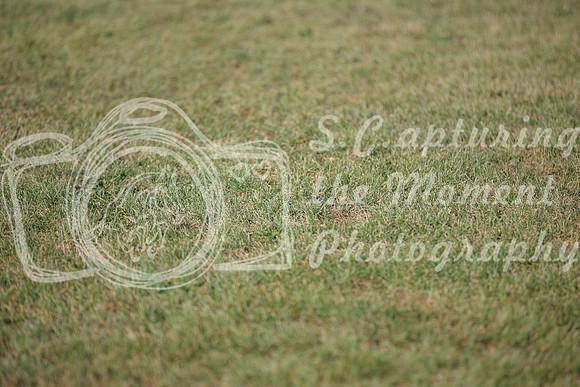 2025 - Karlee - Harvest Horse Show - Sunday, September 14th 03991