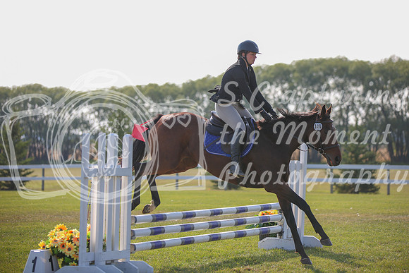 2025 - Karlee - Harvest Horse Show - Sunday, September 14th 03996