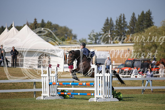 2025 - Karlee - Harvest Horse Show - Sunday, September 14th 05154