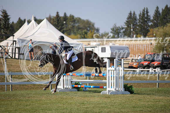 2025 - Karlee - Harvest Horse Show - Sunday, September 14th 06265