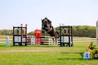 2025 - Haylee - Harvest Horse Show - Sunday, September 14th 08719