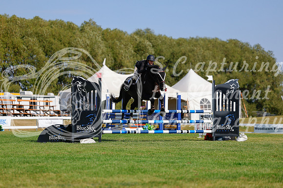 2025 - Haylee - Harvest Horse Show - Sunday, September 14th 08732