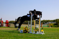 2025 - Haylee - Harvest Horse Show - Sunday, September 14th 08734