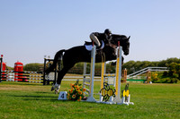 2025 - Haylee - Harvest Horse Show - Sunday, September 14th 08735