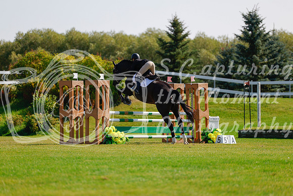 2025 - Haylee - Harvest Horse Show - Sunday, September 14th 08739