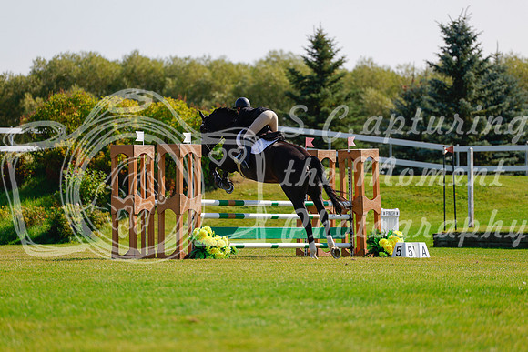 2025 - Haylee - Harvest Horse Show - Sunday, September 14th 08740