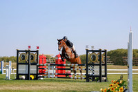2025 - Haylee - Harvest Horse Show - Sunday, September 14th 12150