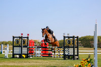 2025 - Haylee - Harvest Horse Show - Sunday, September 14th 12151