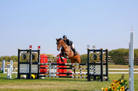 2025 - Haylee - Harvest Horse Show - Sunday, September 14th 12152