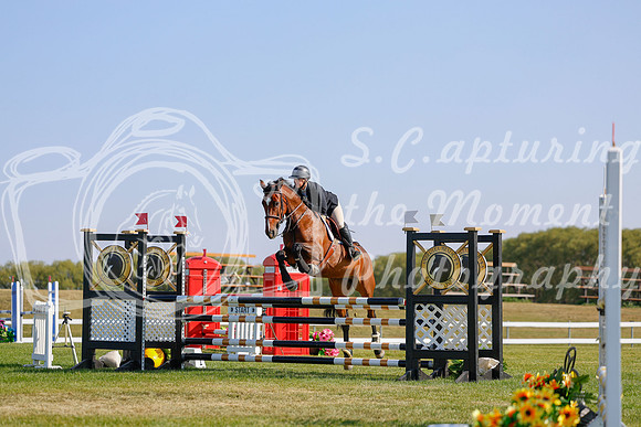 2025 - Haylee - Harvest Horse Show - Sunday, September 14th 12152