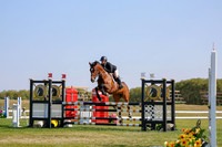 2025 - Haylee - Harvest Horse Show - Sunday, September 14th 12153